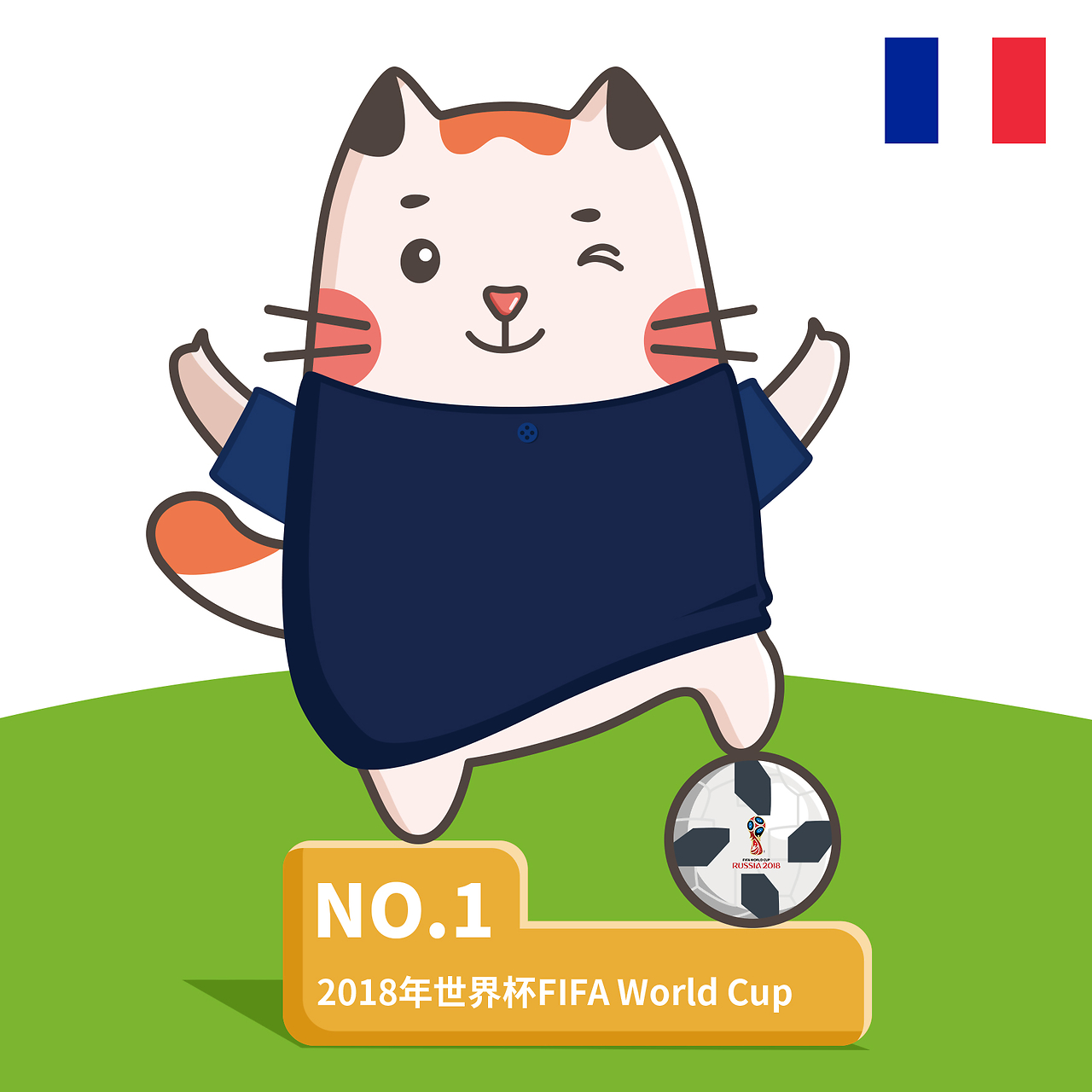 国家队